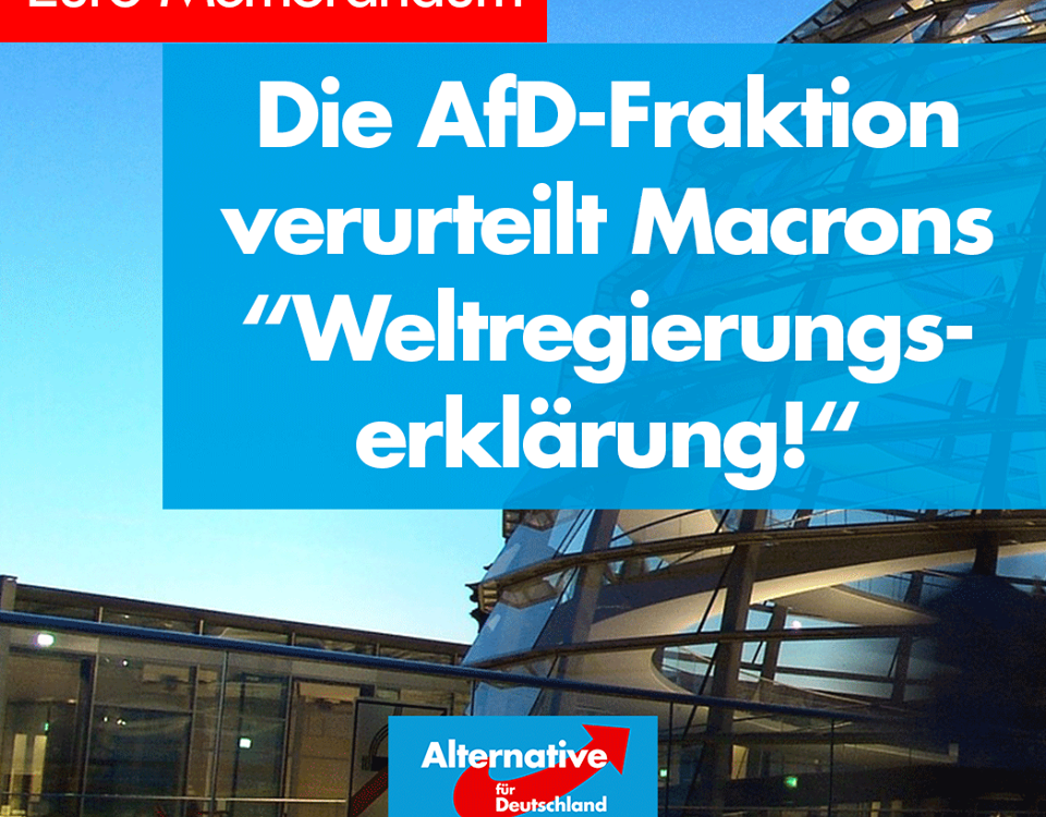 AfD verurteilt Weltregierungserklaerung