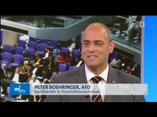 Boehringer in der ARD zum Haushalt 2019