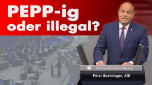 Rede vor dem deutschen Bundestag zu PEPP