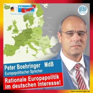 Europapolitik im deutschen Interesse